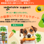 bejisupli
